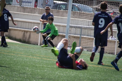 Copa-Liceo-Sport-2017-81
