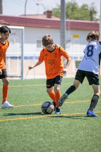 Torneo Liceo 2019058