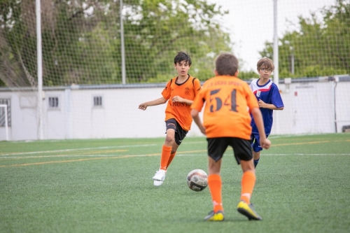 Torneo Liceo 2019202