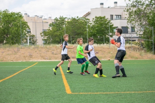 Torneo Liceo 2019243